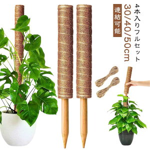 y4{zRRXeBbN Xe 10_Zbg RRibc x |x |gX Ax Xex ϗtA A K[fjOp Ԃ K[f  A  RRibcx