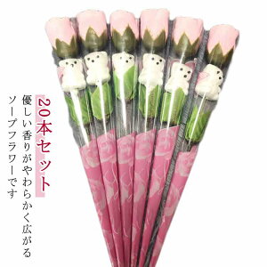 \[vt[ 20{ 1 N} o ̓ ot[  ԑ o 蕨 ʉ w Cxg EGfBO Mtg v[g Ӊ a j LO \ e ` c 