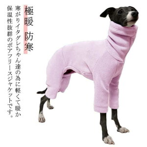 p[X {A ybgEFA ~ Ȃ C^O  t[X g hbOEFA C^O ~ ̕   H   ɒg h ۉ C^AO[nE