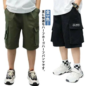 n[tpc LbY j̎q ܕ J[Spc pc q Y{ V[gpc Zp G |Pbg  _Xߑ qbvzbv n qǂ WjA [EFA  