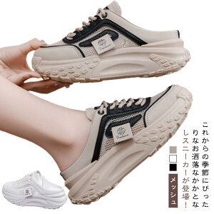 bV Xb| Xj[J[ Xj[J[T_  T_ T{ fB[X Ȃ bVXj[J[ Xj[J[ ʋC vbg  t ƂȂ C V[Y 