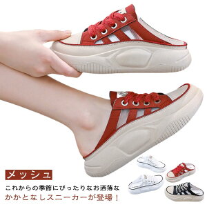 T_ ƂȂ bVXj[J[ bV vbg Xb| fB[X 3cmq[ Xj[J[ ₷ Xj[J[ Ȃ T{  t  C V[Y T_