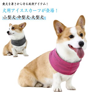 ⊴^I 2Zbg p ^  pXJ[t ACXXJ[t ACXlbN 2Zbg  킢 Ђ MǑ΍ ΍ ybg N[XJ[t ^ MǗ\h ^