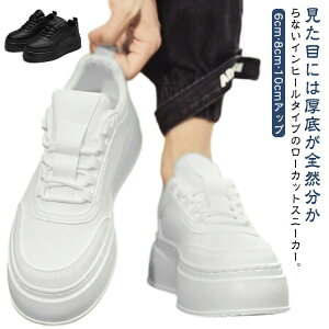 V[NbgXj[J[ 8cm Y YV[Y Y 6cmAbv Xj[J[ JWA Xj[J[ V[NbgV[Y Ȃ gAbv 10cm [Jbg V[Y C C