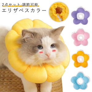 y 2_Zbg GUxXJ[ lR NbV h[ibc^ Ԍ` X^C p Ђh~ y GUxXJ[ 畆ی Ags[ 킢 ߉\ ˂ 􂦂 rߖh~ ې