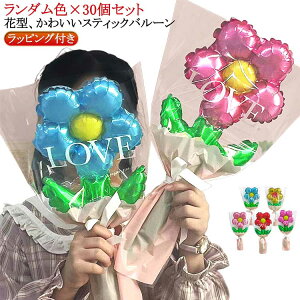 o[ u[P ԑ XeBbNo[ 30Zbg 莝o[ ƃo[ ԑ o[u[P tHg  ʐ^Be a D tBD t 