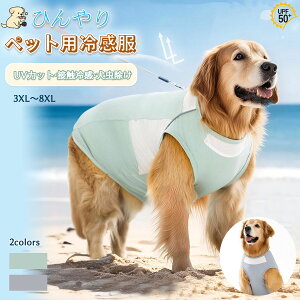  Nꃋ ybmp⊴ ⊴ N[xXg ^ ^ Vc  ĕ Ђ Ăh  h hbOEFA ^Ngbv ʋC p TVc ₩ UVJbg Eѕ