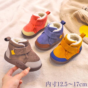 xr[V[Y u[c Xm[u[c j  [gu[c EB^[u[c {A }WbNe[v V[gu[c g ₷ ~ ʉ ʊw o AEghA qǂ 