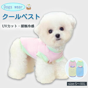  N[xXg hbOEFA Nꃋ ⊴ t   ėp ^ ^Ngbv m[X[u K UVJbg ڐG⊴ Ђ z MǑ΍ ΍ ʋC q [h