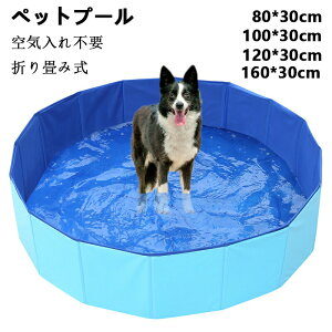 v[ ܂肽 qp ybgp vX`bN ybgv[ v[ ^ pv[ oX^u ݌v SS V XC~O Csv p p r[`p Op r