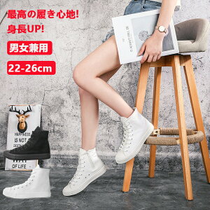 V[NbgV[Y Xj[J[ LoX fB[X nCJbg TChWbp[ [XAbv JWAV[Y 4.5CM gAbv Cq[̂  ₷ C 