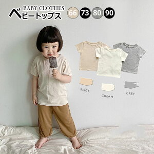 xr[ TVc n V  Vv q j̎q ̎q  ʋC IV V 66 73 80 90 oYj v[g ʉ ʊw t ĕ