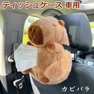 eBbVP[X ԗp Aj} eBbV{bNXz_[ Jso y[p[P[X eBbVJo[ ԗpeBbVP[X ӂӂ 킢 ʂ CeA