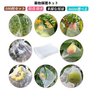 hlbg ʕیlbg  lbg Q΍ h  h _ |p lbg ʋC  ߐ 4sizeIׂ 100Zbg 