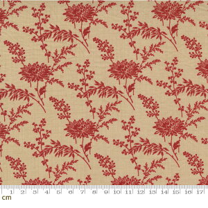 yModa _zBonheur De Jour-13914-16(3A-02) ԕ x[Wn AeB[N Rbg100% V[`O French General t`WFly10cmPʔ̔z