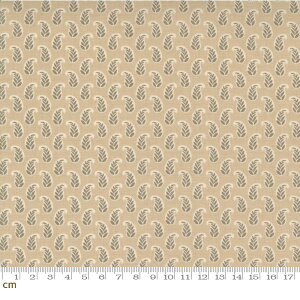 yModa _zBonheur De Jour-13917-16(3A-02) A x[Wn AeB[N Rbg100% V[`O French General t`WFly10cmPʔ̔z