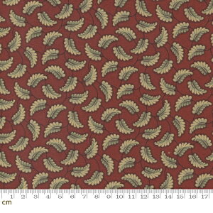 yModa _zKate's Garden Gate-31642-13(2E-07) bhn ԐF [t tϕ g Rbg100% V[`Oy10cmPʔ̔z