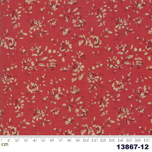 yModa _zLe Beau Papillon-13867-12(2D-01) bh  ԕ AeB[N Rbg100% V[`O t`WFly10cmPʔ̔z