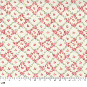 yModa _zCottage Linen Closet-18732-12(2D-01)(2D-02) zCgn sNn pXe ԕ Be[W Rbg100% V[`Oy10cmPʔ̔z