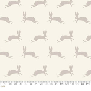 yModa _zSpooky Darlings-RS5078-11(2E-08) x[W N[F   i` nEB Halloween Rbg100 V[`O ruby star r[X^[y10cmPʔ̔z