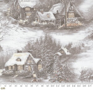 yModa _zBlizzard Blues-33671-15(2E-07) uEn zCgnA  X  ~ NX}X Rbg100 V[`Oy10cmPʔ̔z