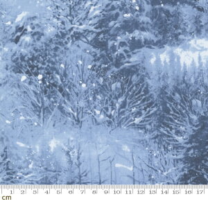 yModa _zBlizzard Blues-33673-12(2E-07) u[n zCgn lCr[n A  ~ NX}X Rbg100 V[`Oy10cmPʔ̔z