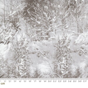 yModa _zBlizzard Blues-33673-16(2E-07) uEn zCgn A  ~ NX}X Rbg100 V[`Oy10cmPʔ̔z