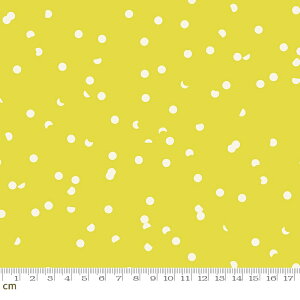 yModa _zJolly Basics-RS3025-39(2E-06) CG[n hbg Rbg100 V[`Oy10cmPʔ̔z