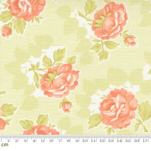 yModa _zCinnamon And Cream-20450-22(2E-09) CgO[ ԕ 啿 Rbg100 V[`Oy10cmPʔ̔z