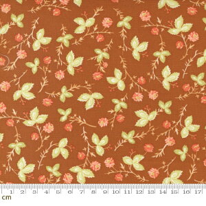 yModa _zCinnamon And Cream-20452-12(2E-09) uE ԕ A Rbg100 V[`Oy10cmPʔ̔z