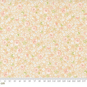 yModa _zCinnamon And Cream-20453-15(2E-09) IW ԕ A Rbg100 V[`Oy10cmPʔ̔z