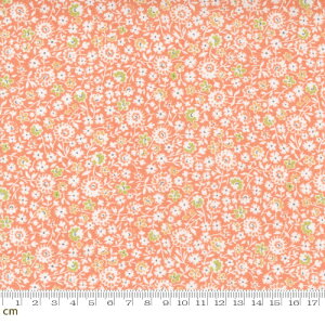 yModa _zCinnamon And Cream-20453-18(2E-09) sN ԕ A Rbg100 V[`Oy10cmPʔ̔z