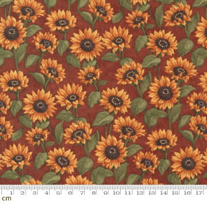 yModa _zSunflower Garden-6893-13(2E-09) uE ԕ Ђ܂蕿 Rbg100% V[`Oy10cmPʔ̔z