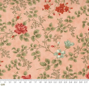 yModa _zRendezvous-44301-15(2E-09) sNn A AeB[N Rbg100% V[`Oy10cmPʔ̔z