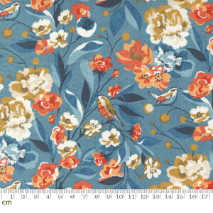 yModa _zNutmeg-30700-14(2E-09) u[ {^jJ ԕ mX^WbN Rbg100 V[`Oy10cmPʔ̔z