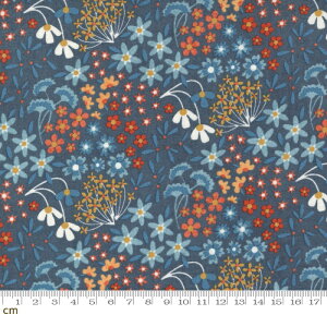 yModa _zNutmeg-30702-12(2E-09) lCr[ ԕ mX^WbN Rbg100 V[`Oy10cmPʔ̔z