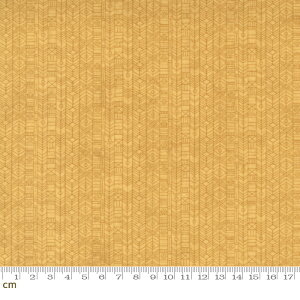 yModa _zNutmeg-30707-20(2E-09) }X^[hCG[ 􉽊w mX^WbN Rbg100 V[`Oy10cmPʔ̔z