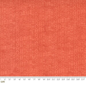 yModa _zNutmeg-30707-21(2E-09) IW 􉽊w mX^WbN Rbg100 V[`Oy10cmPʔ̔z