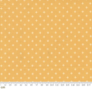 yModa _zAmelias Blues-31657-19(2E-08) CG[ 􉽊w AeB[N Rbg100% V[`Oy10cmPʔ̔z