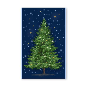 yN[|ő500~OFFIz! NX}Xc[ ^yXg[ () 1P 34*55cm(2F-14) O[n u[n lCr[ NX}X A c[ 