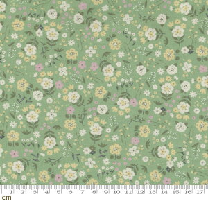 yHappy Quiltzu[~Ot[-HQ-FW2108121-A(2D-03) O[n ԕ ݃J[ pXe Rbg100% V[`O ؍ Any10cmPʔ̔z