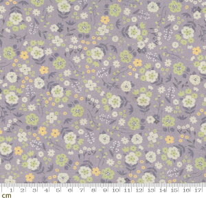 yHappy Quiltzu[~Ot[-HQ-FW2108124-C(2D-03) p[vn ԕ ݃J[ g Rbg100% V[`O ؍ Any10cmPʔ̔z