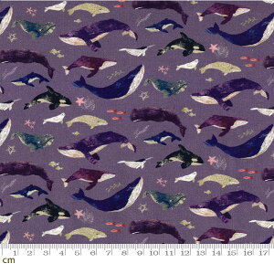 【Happy Quilt】クジラの夢-HQ-CT2011161-B(2D-03) パープル クジラ柄 ファンシー 水彩風 かわいい 韓国 輸入生地 コットン100% シーチング 110cm幅【10cm単位販売】