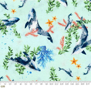 yHappy Quiltz_XNW-HQ-HQ2208191(2D-03) XJCu[n u[n  qgf  C̐ Rbg100% V[`O ؍ Any10cmPʔ̔z