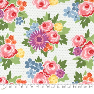 yModa _zZinnia-24130-11(2E-09) A ԕ zCg bh u[ p[v IW Rbg100% V[`Oy10cmPʔ̔z