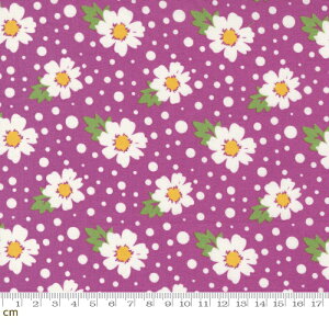 yModa _zZinnia-24131-12(2E-09) ԕ O[ zCg p[v Rbg100% V[`Oy10cmPʔ̔z