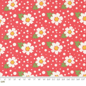 yModa _zZinnia-24131-14(2E-09) ԕ O[ zCg T[sN Rbg100% V[`Oy10cmPʔ̔z