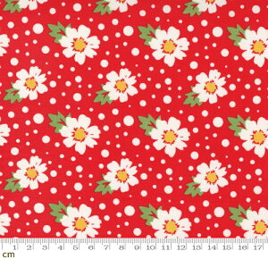 yModa _zZinnia-24131-15(2E-09) ԕ O[ zCg bh Rbg100% V[`Oy10cmPʔ̔z