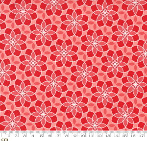 yModa _zZinnia-24132-15(2E-09) ԕ bh Rbg100% V[`Oy10cmPʔ̔z