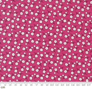 yModa _zZinnia-24134-14(2E-09) ԕ zCg p[v Rbg100% V[`Oy10cmPʔ̔z